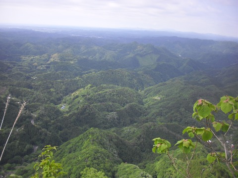 このコース最高峰の奥久慈男体山からの眺望。スカイツリーとほぼ同じ高さ。