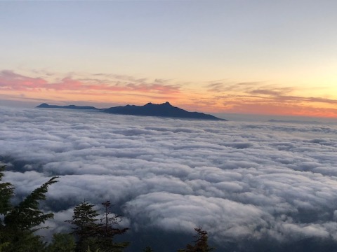 ２時間半かけて上りきった、標高２５００mの赤薙沢の頭からは雲海が。八ヶ岳が島のように見える。