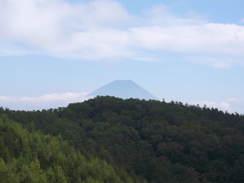 殆ど樹林帯で展望には恵まれなかったが、最後のピークの裸山で富士が（嬉）