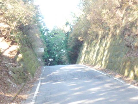 明るい中での冷川峠だ！　登りきったあとに激坂になっているのがよくわかる