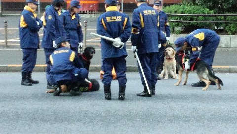 警察犬部隊～　　犬とたわむれて　遊んでましたぁ～