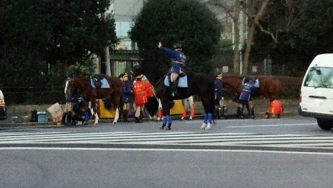 こっから動物バージョン～　お馬さん～　騎馬隊～～写真にはないけど　ゆげゆげの馬の　ウ○コ　　隊員が片付けてましたぁ～～