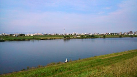 江戸川土手から見るスカイツリー