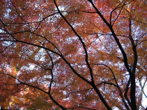 順調にリハビリが続く