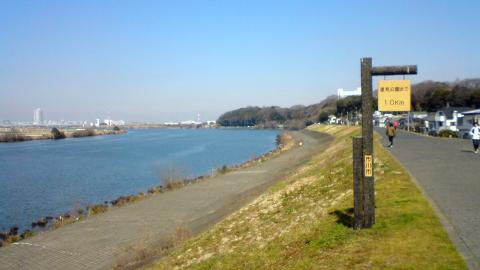 久しぶりに晴れて良い天気。
