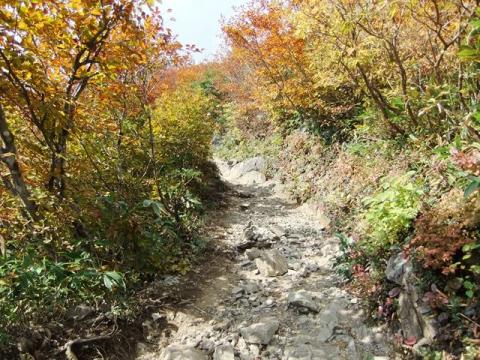 長男と谷川岳登山（天神平～トマノ耳～オキノ耳）