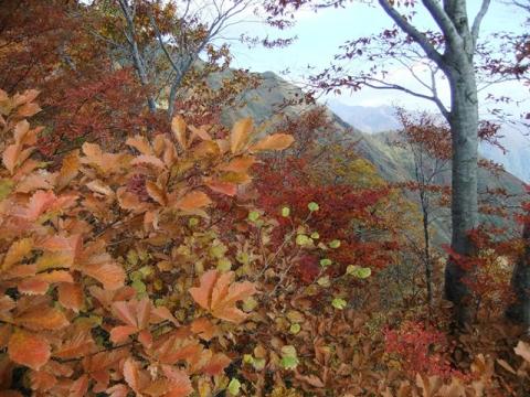 長男と谷川岳登山（天神平～トマノ耳～オキノ耳）