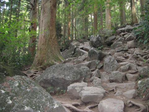 岩がゴロゴロ登りにくいです。