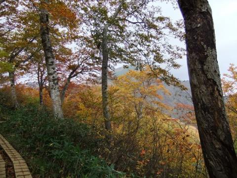 長男と谷川岳登山（天神平～トマノ耳～オキノ耳）