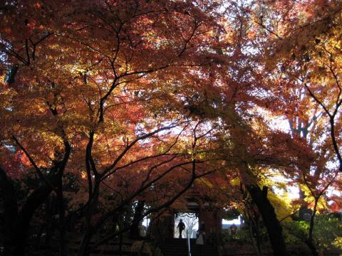 順調にリハビリが続く