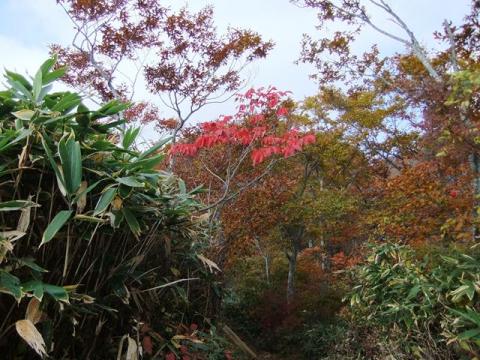 長男と谷川岳登山（天神平～トマノ耳～オキノ耳）