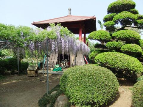 武州寄居七福神のひとつ「蓮光寺」