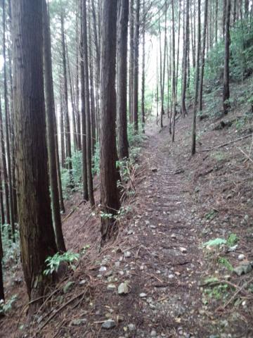 今回コースのお薦め箇所（この後、携帯電池切れ）