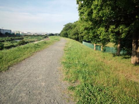 堤防に戻ってきても、砂利道だったので…