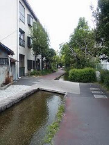 綺麗な歩行者専用道路