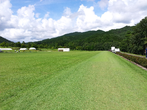 天然芝が青々。涼しく、マラソン合宿に最適。足にやさしく、走り安かった。