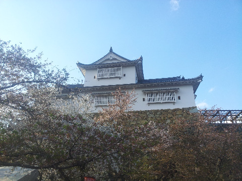 津山城址の鶴山公園では、桜まつり期間中だったが、1週間前が満開だったようで、いまいち盛り上がりにかけていた。