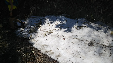 まだ雪が残っていた。