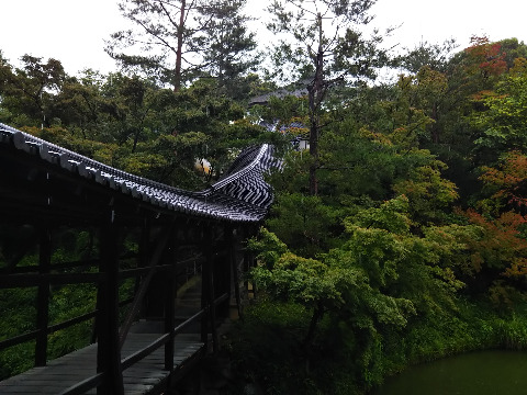 高台寺　1606年（慶長11）豊臣秀吉の正室北政所が秀吉の菩提を弔うため創建。