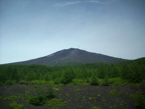 登山口から山頂を望む
「意外と遠い」