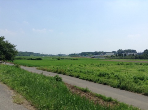 150712 緑のヘルシーロード　30km　7月④