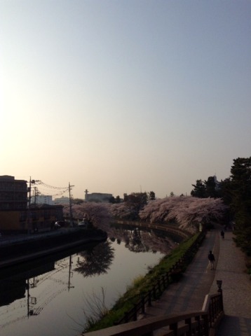 180328_（桜満開）綾瀬川　朝　16km