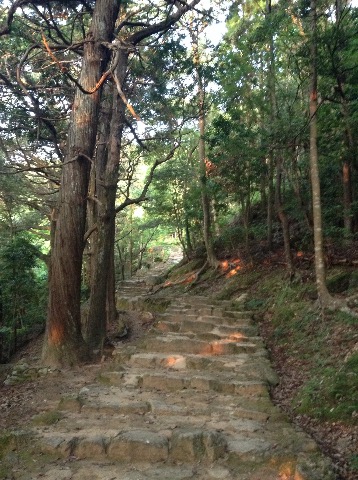 170602_新宮市内①　朝　10km