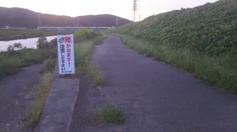 181006_福井　夕方　12km
