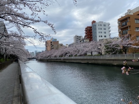 門前仲町の川沿い。