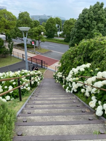 久しぶりのお台場