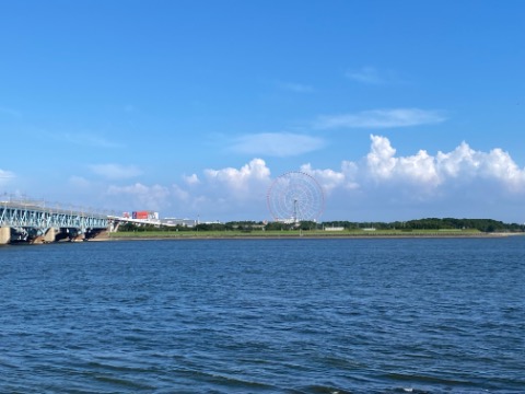 葛西臨海公園の観覧車が見える