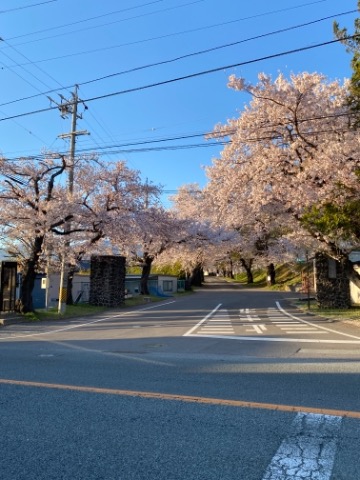 川の道試走　下仁田→小諸