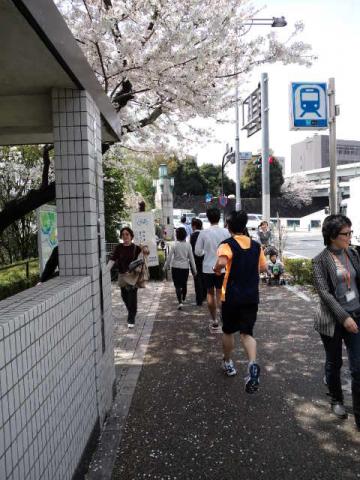 竹橋に入り、ここから登りが始まります