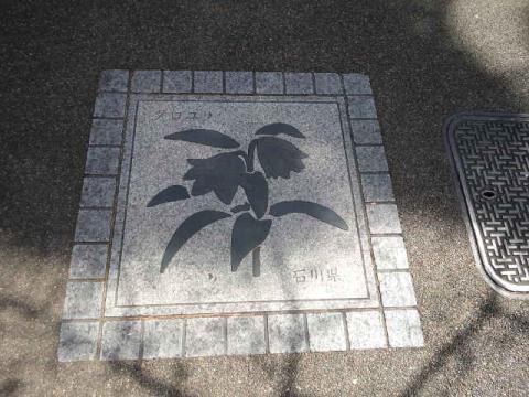 100m間隔で都道府県の花が紹介されています
私の故郷、石川県は「クロユリ」
見たことない・・・