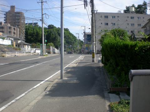 実家から空城山公園方面を望む。正面の緑生い茂る右側が公園入り口。