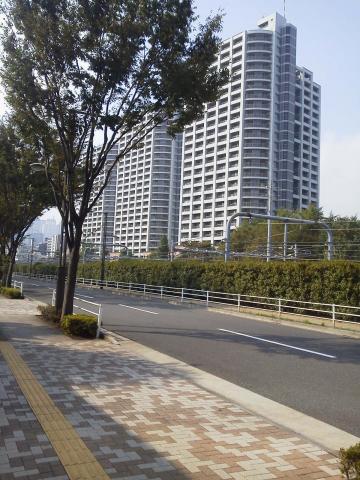 今度は山手線に沿って南下。右手が線路。今は車が少なく、とても気持ちよい道ですが、まもなく新大久保とつながるので混雑必至!