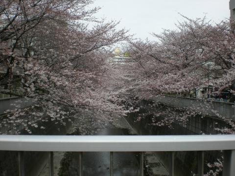 yuzoさんのうちの前(^o^)
