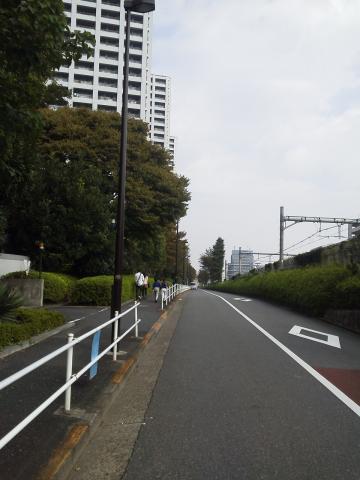 山手線の線路を左折、また一直線の道。右は山手線、西武新宿線。走りやすいけど風が強い(・_・;