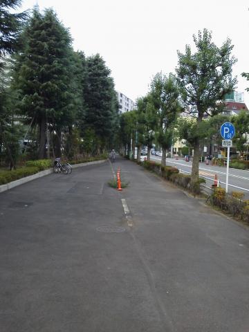 スタート地点から西にスタート。最初は平坦、そして下り坂が始まります。