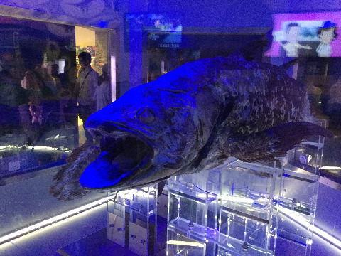 沼津港深海水族館に行ってみた。冷凍シーラカンスが見られる！　すごい行列で入場するまで50分くらいかかったが、面白かった！