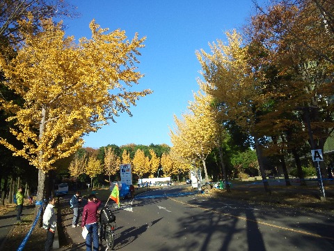 つくばマラソン　小幅PB更新