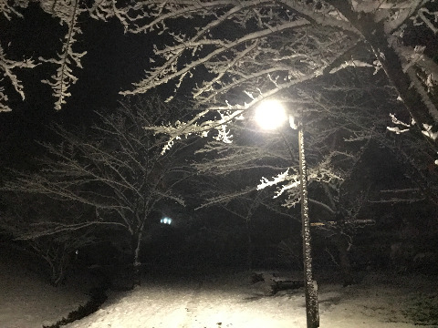 積雪ラン8キロ