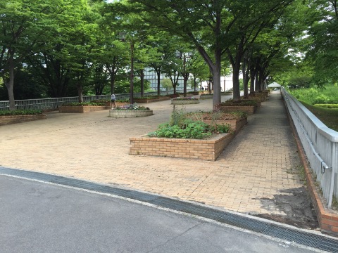 ちょっぴりリディアード式