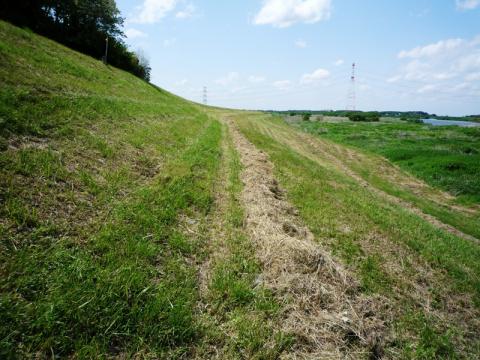 そのあとは、このような草っぱらを走り、やっと先週の歩道に出られました。