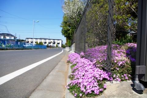 何気ない道ばたにも春の訪れを感じます