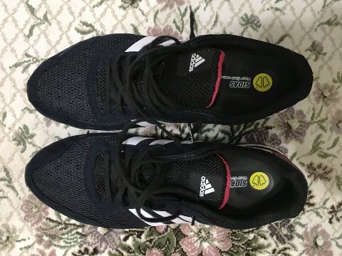 Japan boost 3とシダス インソール
