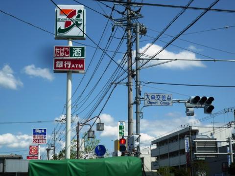どうも利根川とは方向が違うので、クルマで通りなれた国道356号線を目指した。
この交差点を左折すると我孫子市です。