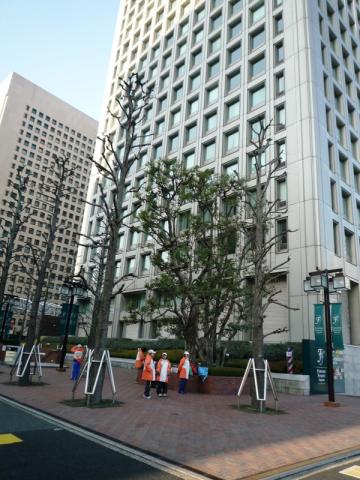 それぞれの東京マラソン