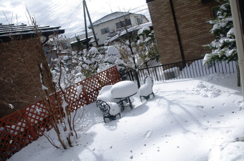 庭に雪見だいふくが出現!