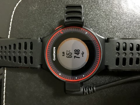 届いた状態での充電量は65%でした。